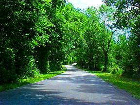 Route 66 West of Carthage