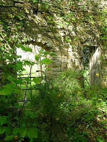 Stone Ruin Interior