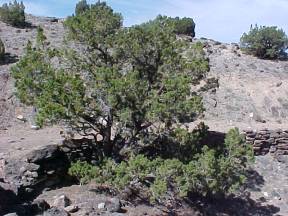 La Bajada Rock Retaining Wall