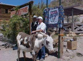 Jeffey the Burro