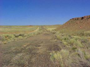 Lost Road in the Painted Desert