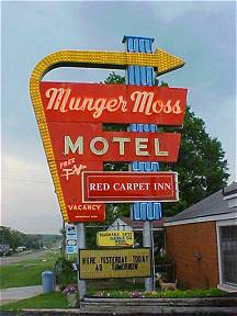 Munger Moss Neon