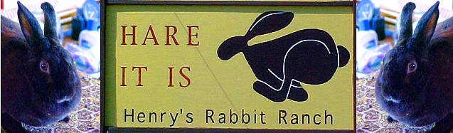 Henry's Rabbit Ranch