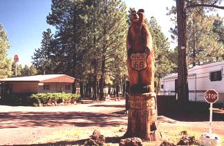 Guardian of Woody Mountain Campground