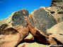 Moenave Petroglyphs, Arizona