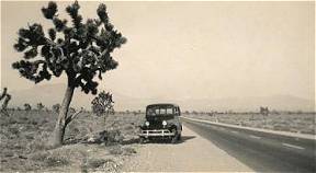 High Desert Tourists on Route 66