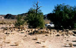 Adobe Ruin January, 2000