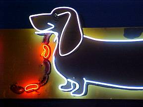 Dog House Neon Close-up