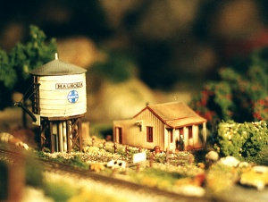 MAGNOLIA WATER TOWER and MINER'S CABIN