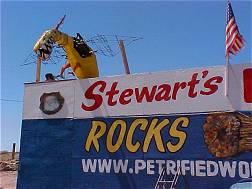 Stewart's Petrified Wood