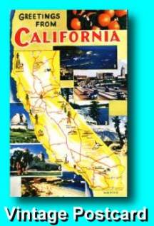 California Vintage Postcard
